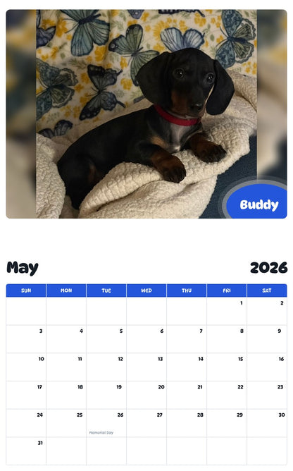 2026 - 2027 Buddy - Pawidols Pet Calendar