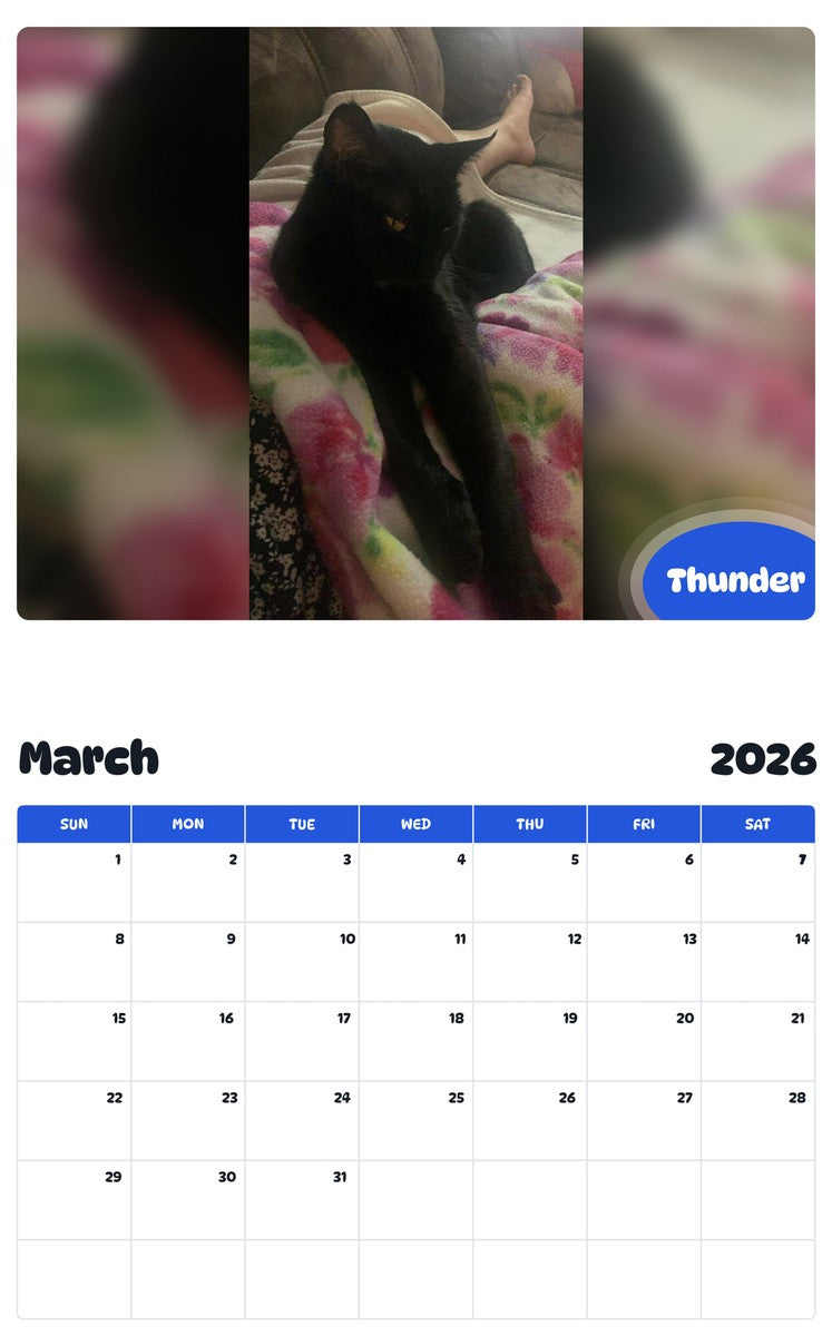 November 2025 - October 2026 Thunder - Pawidols Pet Calendar
