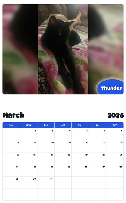 November 2025 - October 2026 Thunder - Pawidols Pet Calendar