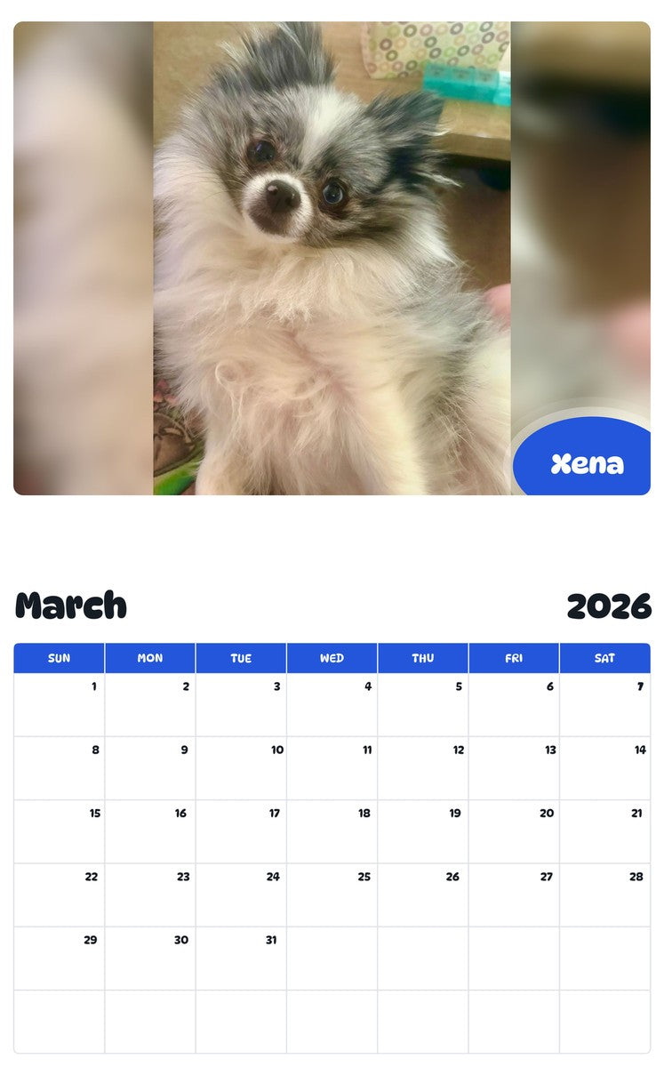 November 2025 - October 2026 Xena - Pawidols Pet Calendar