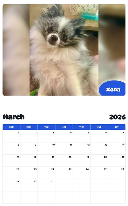 November 2025 - October 2026 Xena - Pawidols Pet Calendar