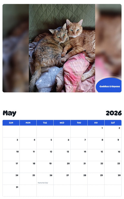2026 - 2027 Cuddles & Kaycee - Pawidols Pet Calendar