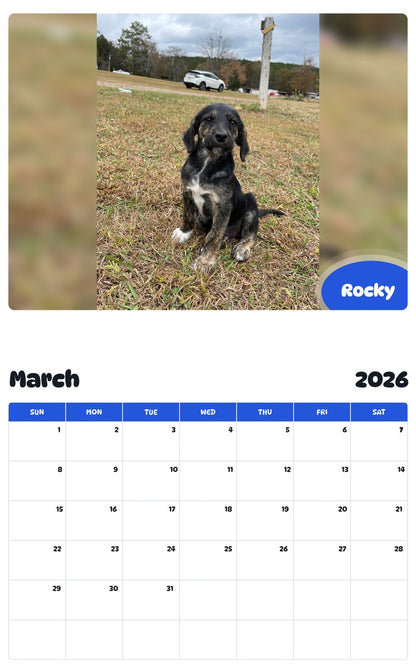 November 2025 - October 2026 Rocky - Pawidols Pet Calendar