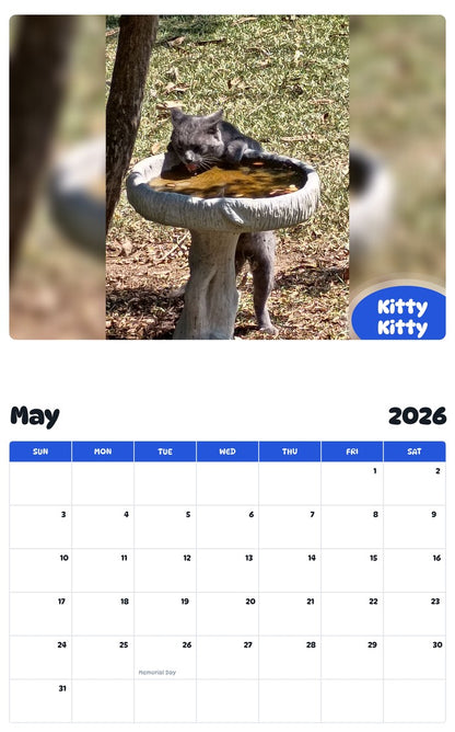 2026 - 2027 Kitty Kitty - Pawidols Pet Calendar