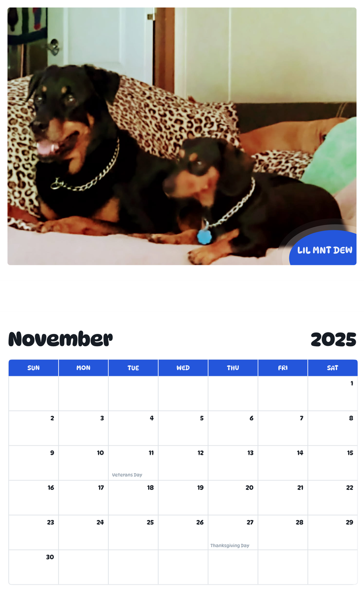 July 2025 - June 2026 Lil Mnt Dew - Pawidols Pet Calendar