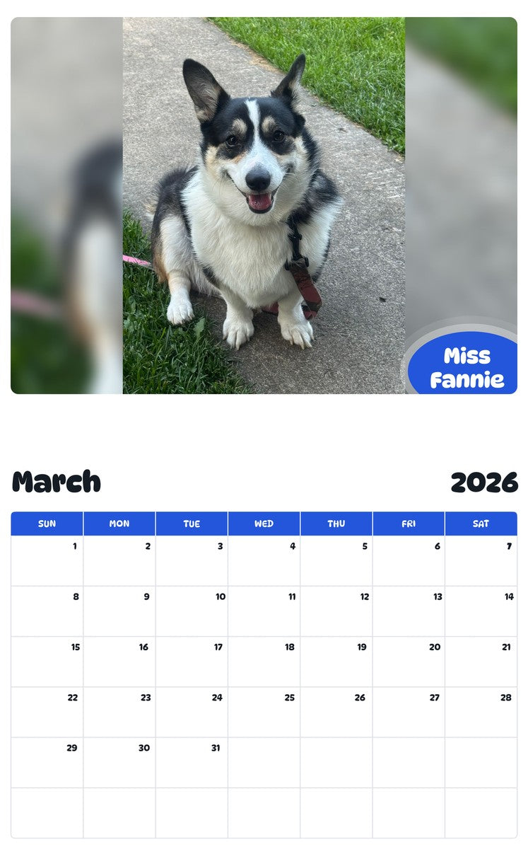 November 2025 - October 2026 Miss Fannie - Pawidols Pet Calendar