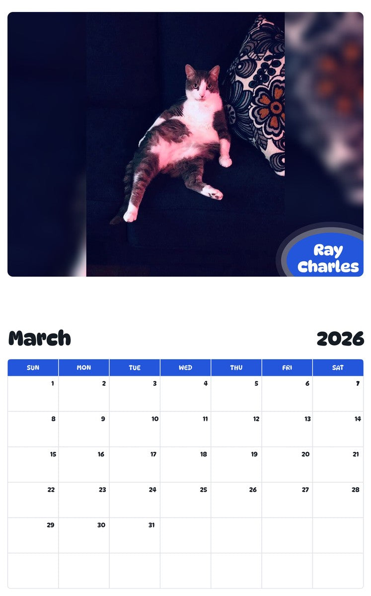 November 2025 - October 2026 Ray Charles - Pawidols Pet Calendar