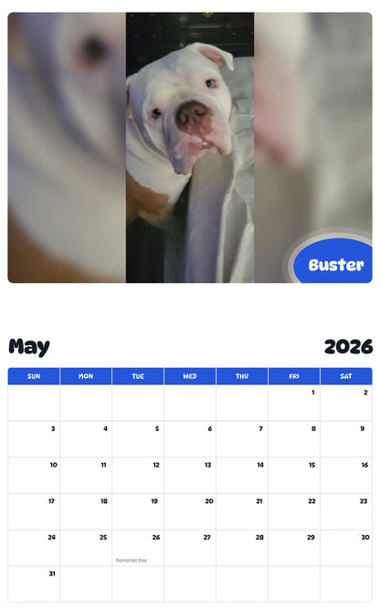 2026 - 2027 Buster - Pawidols Pet Calendar