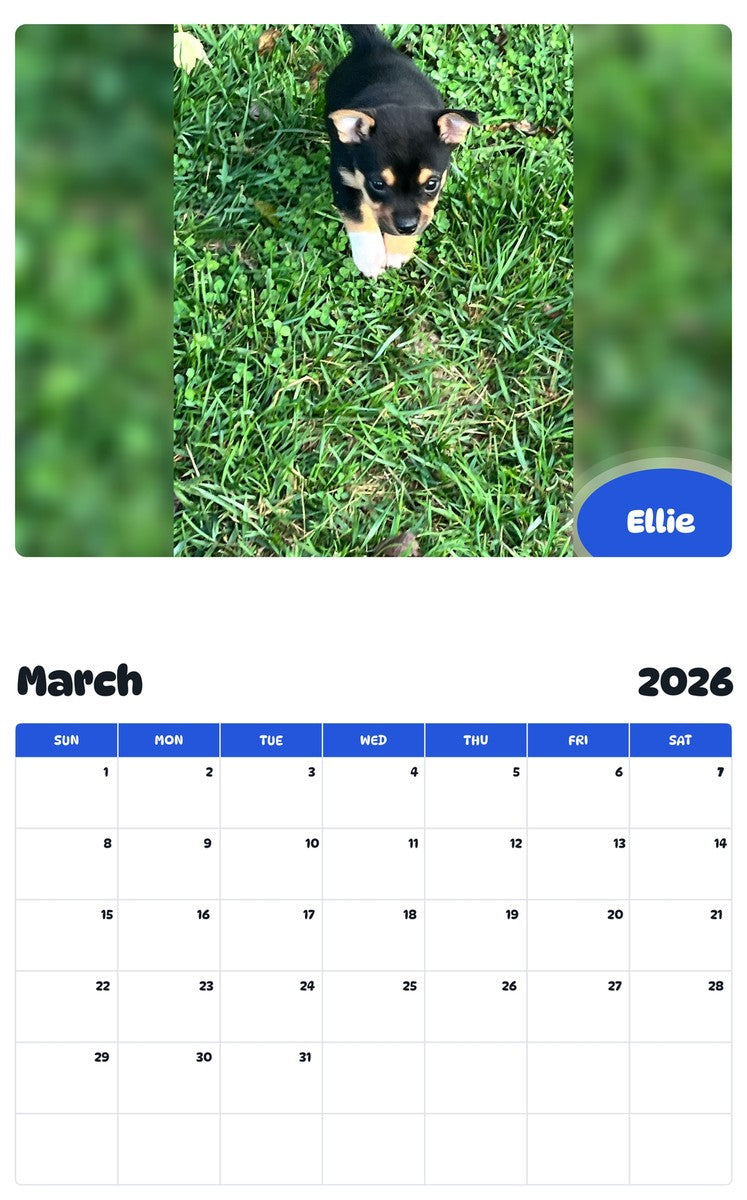 November 2025 - October 2026 Ellie - Pawidols Pet Calendar