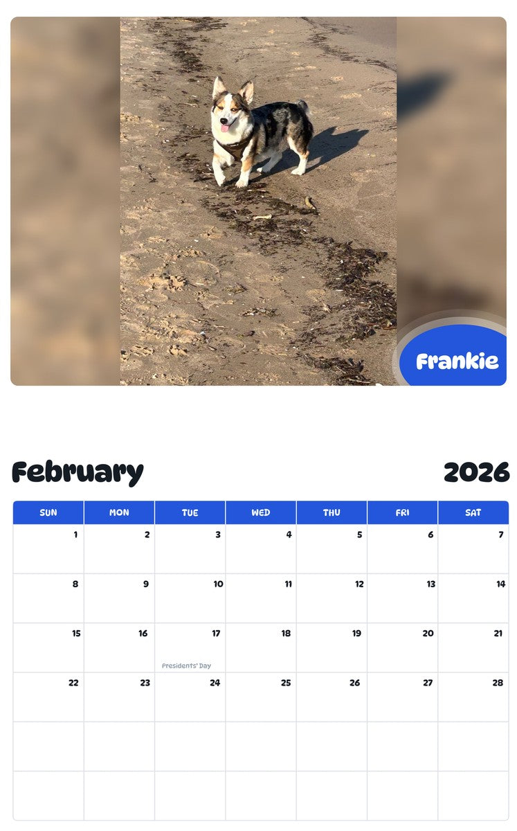 November 2025 - October 2026 Frankie - Pawidols Pet Calendar