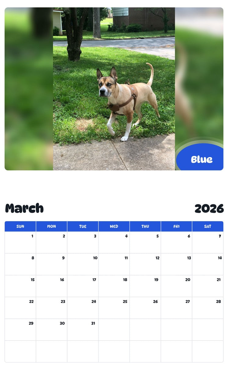 November 2025 - October 2026 Blue - Pawidols Pet Calendar
