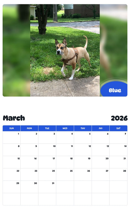 November 2025 - October 2026 Blue - Pawidols Pet Calendar