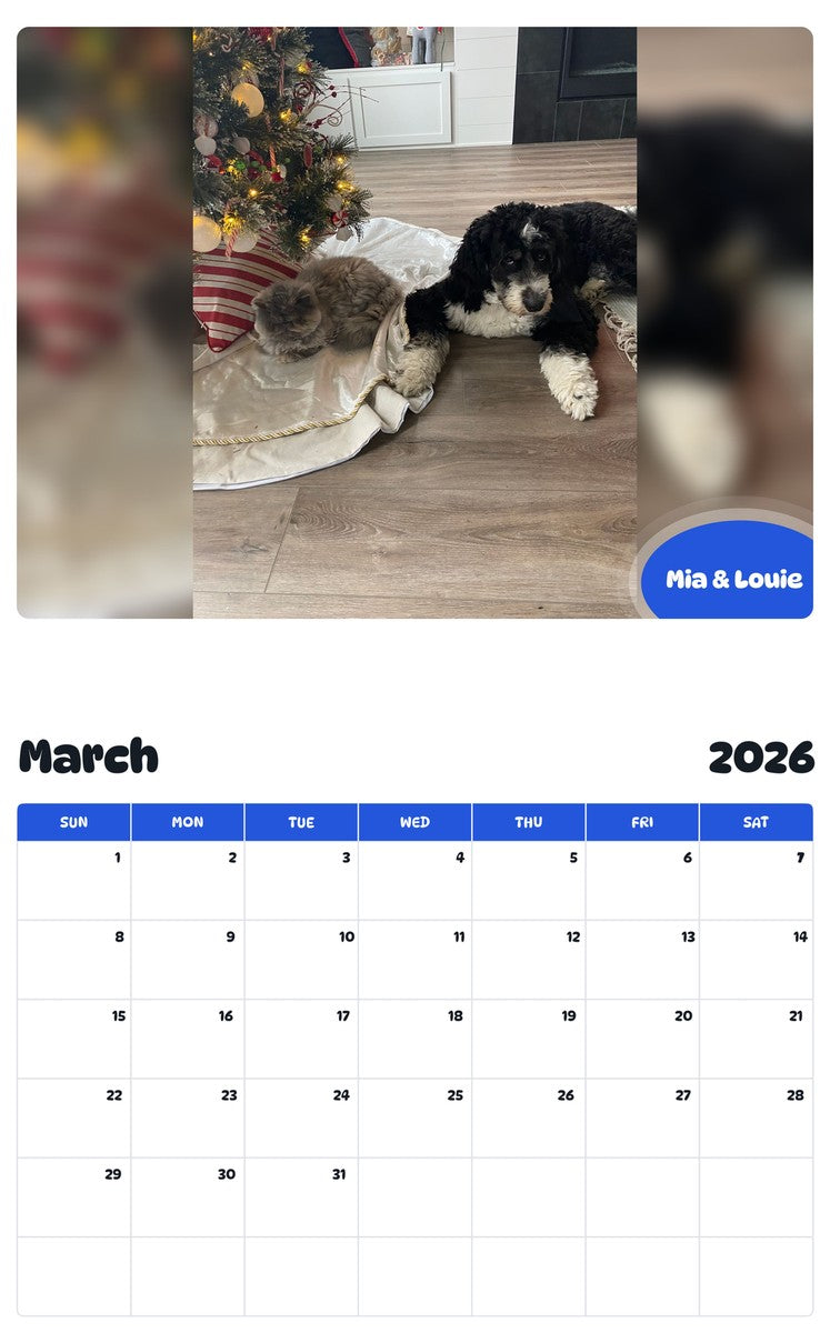 November 2025 - October 2026 Mia & Louie - Pawidols Pet Calendar