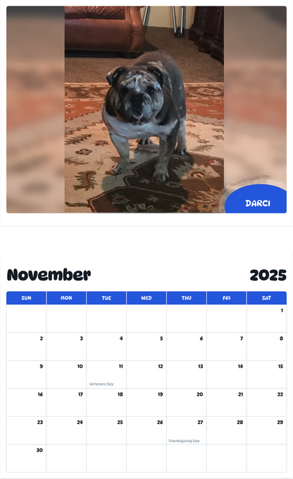 July 2025 - June 2026 Darci - Pawidols Pet Calendar