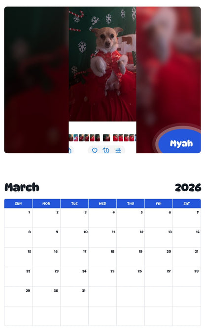 November 2025 - October 2026 Myah - Pawidols Pet Calendar