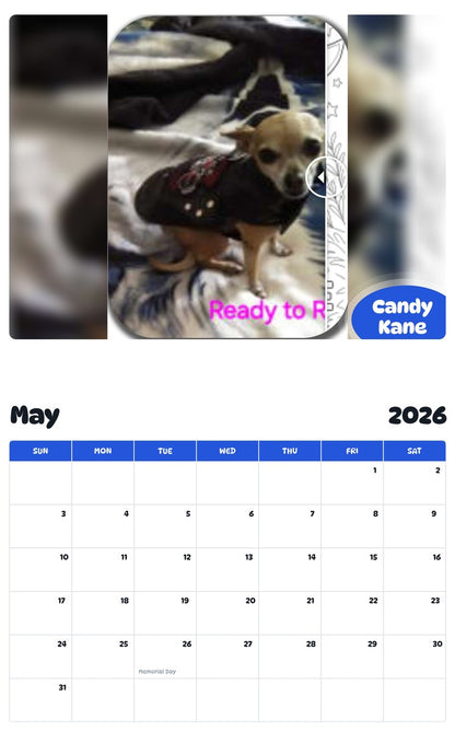 2026 - 2027 Candy Kane - Pawidols Pet Calendar