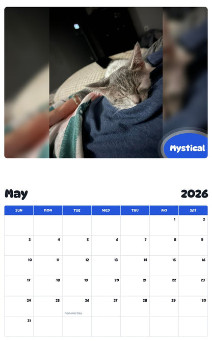 2026 - 2027 Mystical - Pawidols Pet Calendar