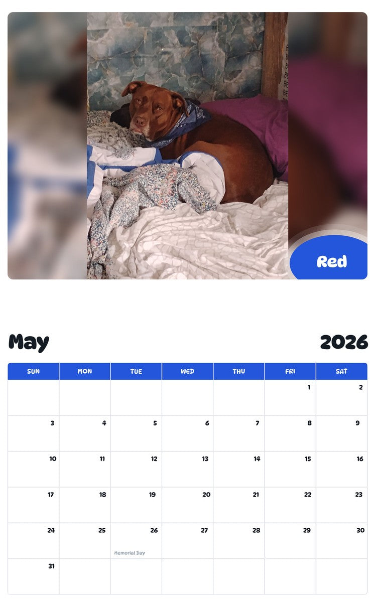 2026 - 2027 Red - Pawidols Pet Calendar