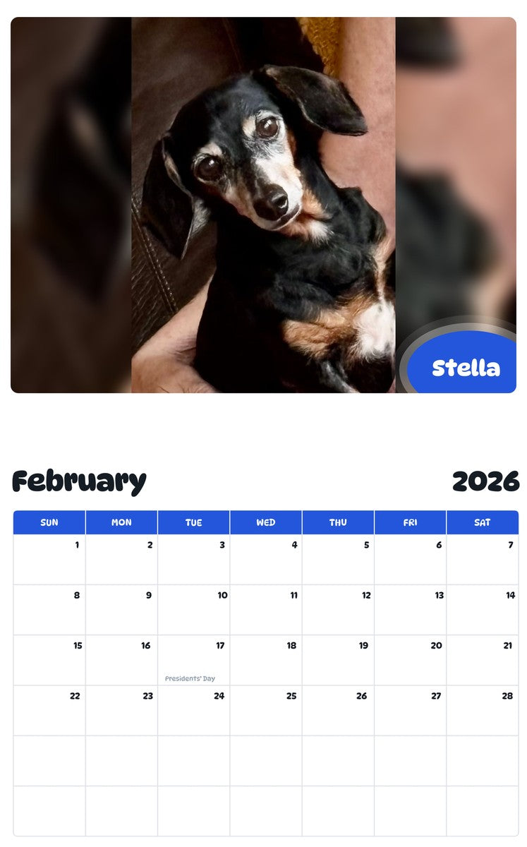October 2025 - September 2026 Stella - Pawidols Pet Calendar