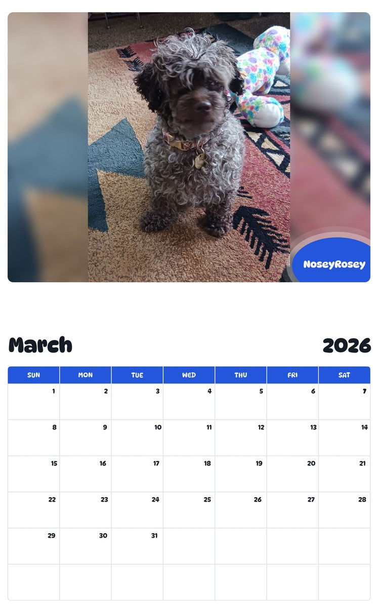 November 2025 - October 2026 NoseyRosey - Pawidols Pet Calendar