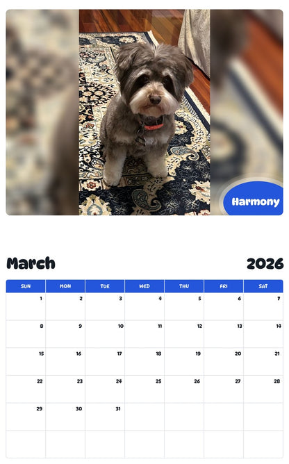 November 2025 - October 2026 Harmony - Pawidols Pet Calendar