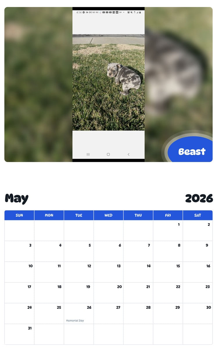 2026 - 2027 Beast - Pawidols Pet Calendar