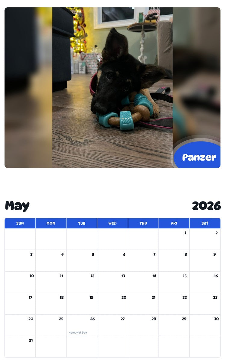 2026 - 2027 Panzer - Pawidols Pet Calendar