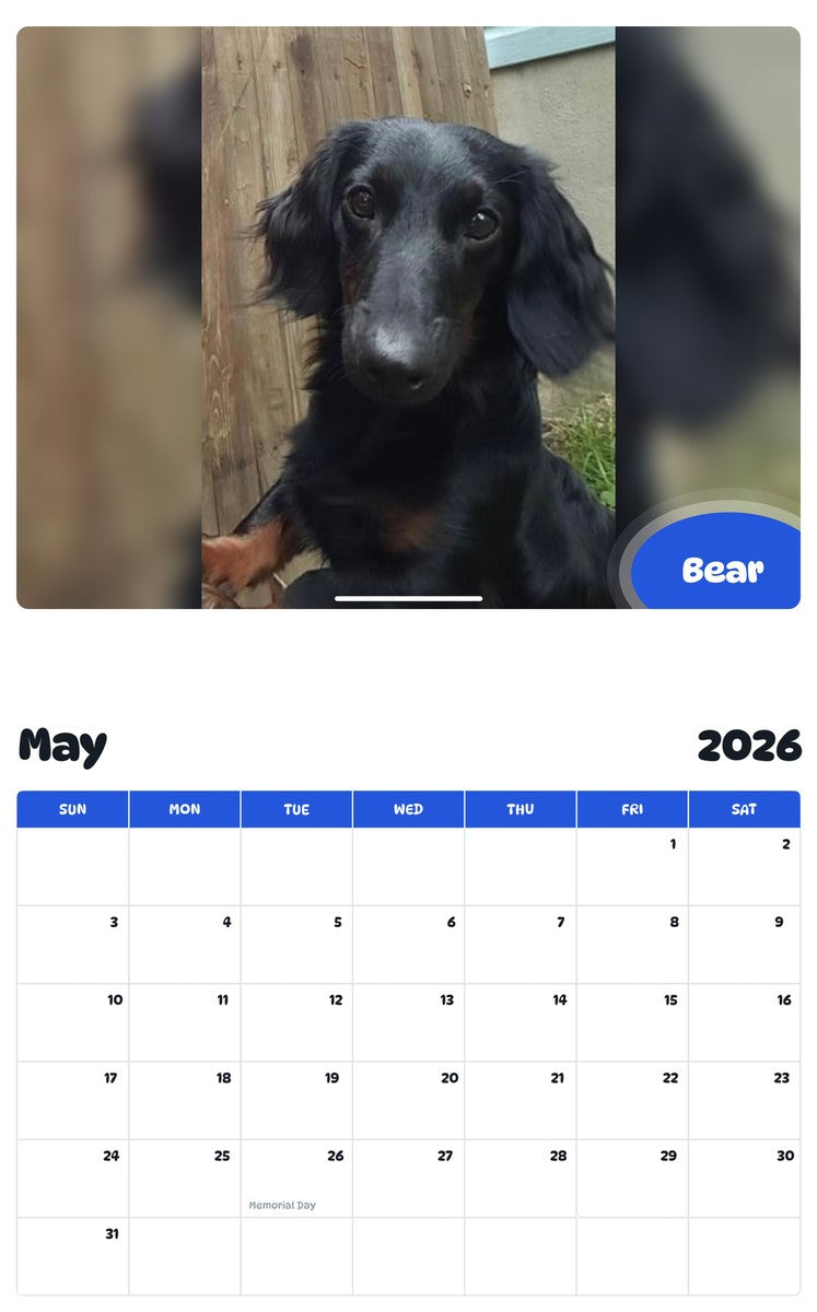 2026 - 2027 Bear - Pawidols Pet Calendar