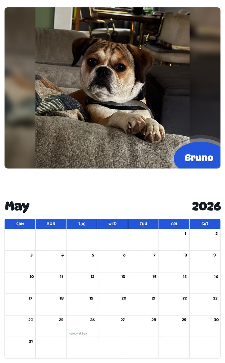 2026 - 2027 Bruno - Pawidols Pet Calendar