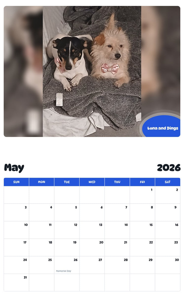 2026 - 2027 Luna and Dings - Pawidols Pet Calendar