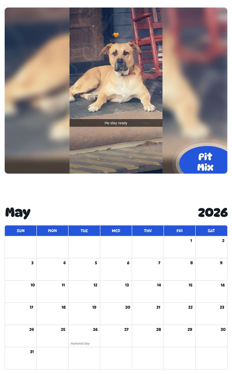 2026 - 2027 Pit Mix - Pawidols Pet Calendar
