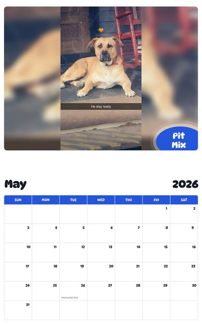 2026 - 2027 Pit Mix - Pawidols Pet Calendar