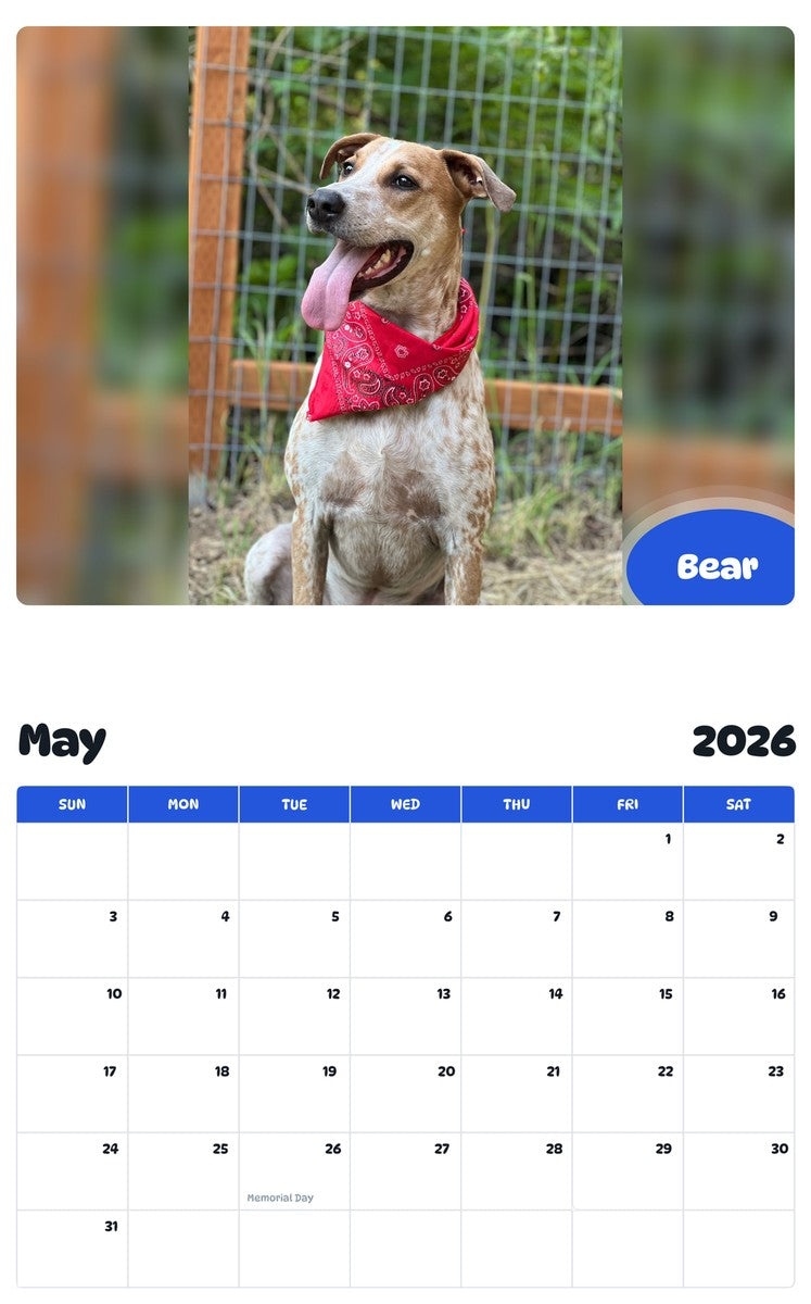 2026 - 2027 Bear - Pawidols Pet Calendar