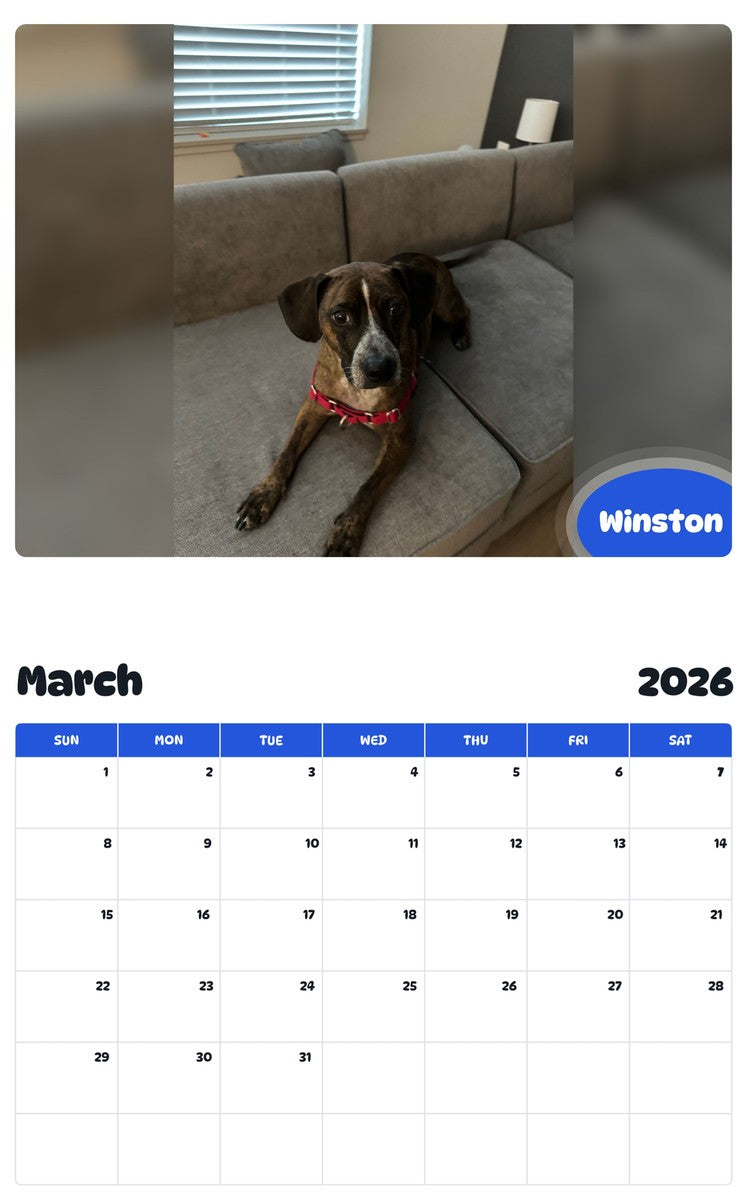 November 2025 - October 2026 Winston - Pawidols Pet Calendar