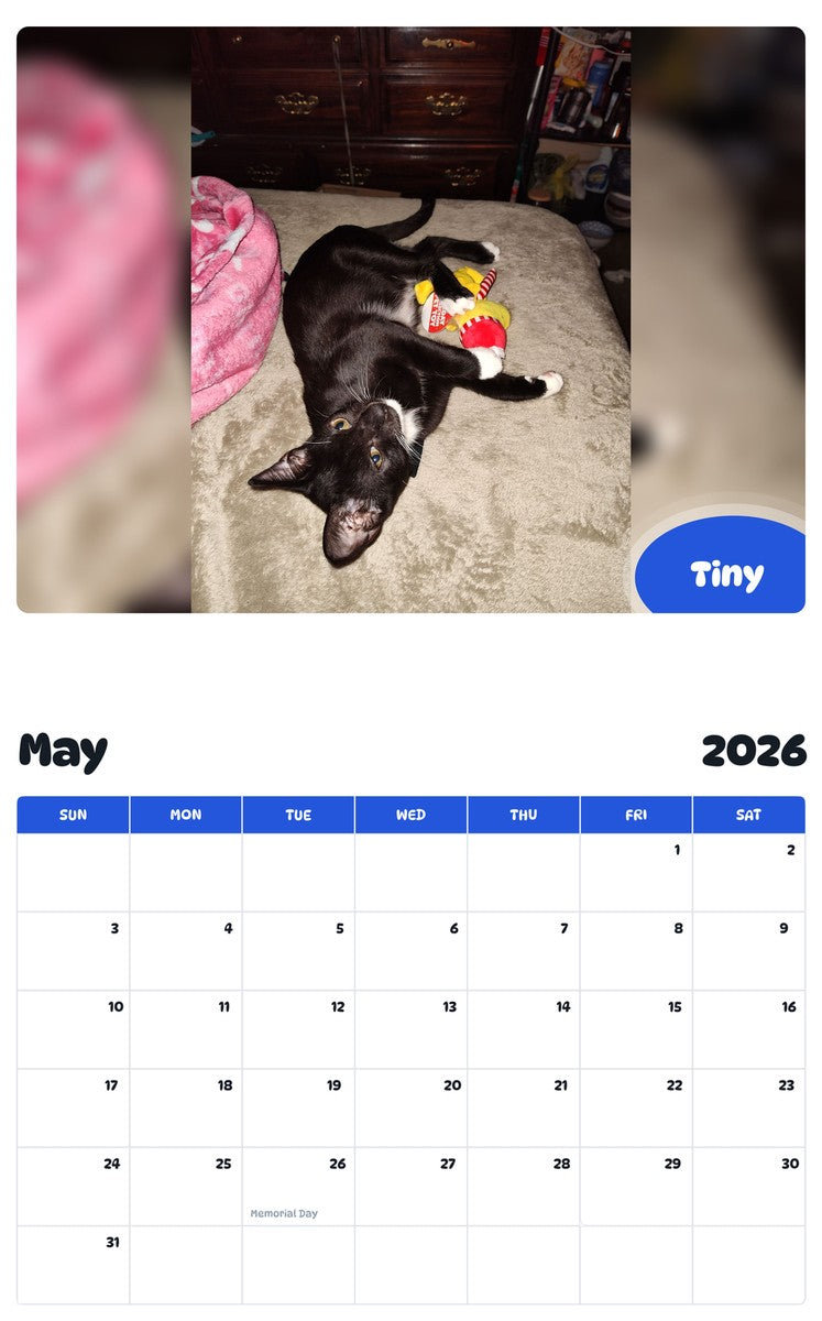 2026 - 2027 Tiny - Pawidols Pet Calendar
