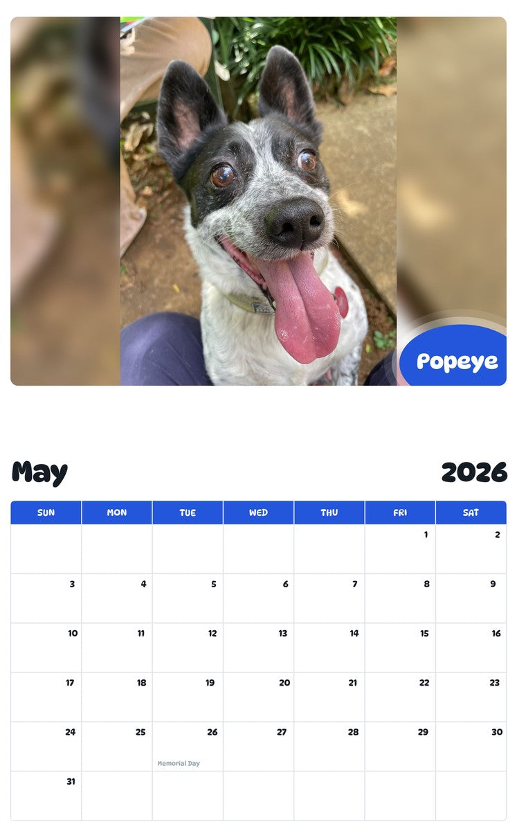 2026 - 2027 Popeye - Pawidols Pet Calendar