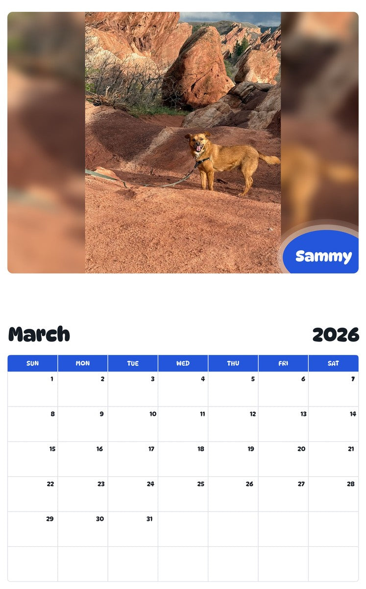 November 2025 - October 2026 Sammy - Pawidols Pet Calendar
