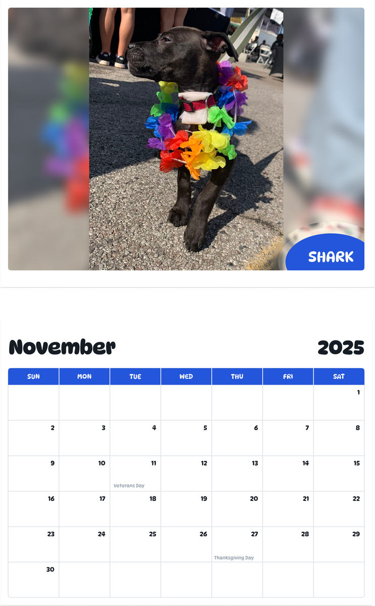July 2025 - June 2026 Shark - Pawidols Pet Calendar