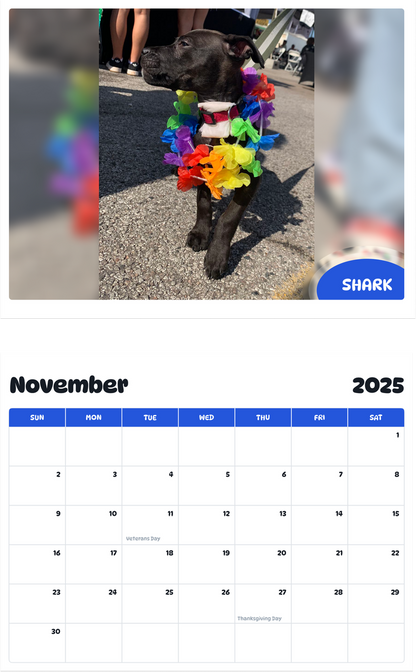 July 2025 - June 2026 Shark - Pawidols Pet Calendar