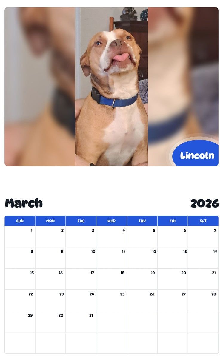 November 2025 - October 2026 Lincoln - Pawidols Pet Calendar