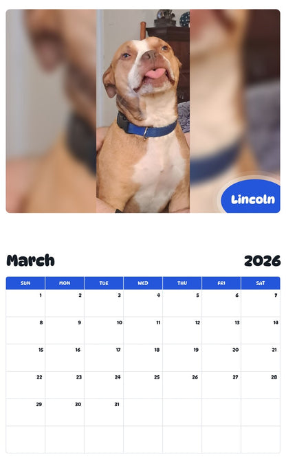 November 2025 - October 2026 Lincoln - Pawidols Pet Calendar