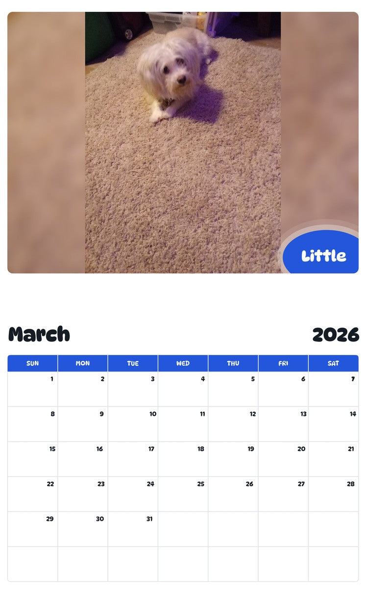 November 2025 - October 2026 Little - Pawidols Pet Calendar