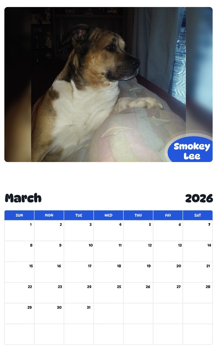 November 2025 - October 2026 Smokey Lee - Pawidols Pet Calendar
