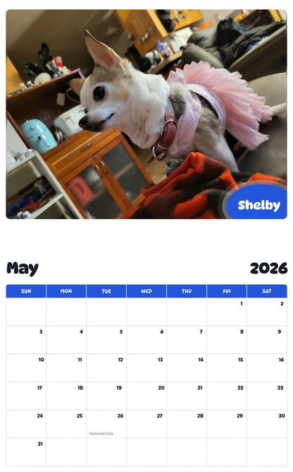 2026 - 2027 Shelby - Pawidols Pet Calendar