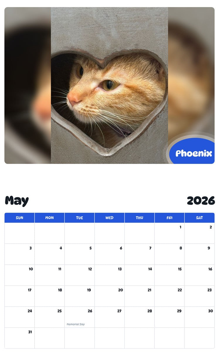 2026 - 2027 Phoenix - Pawidols Pet Calendar