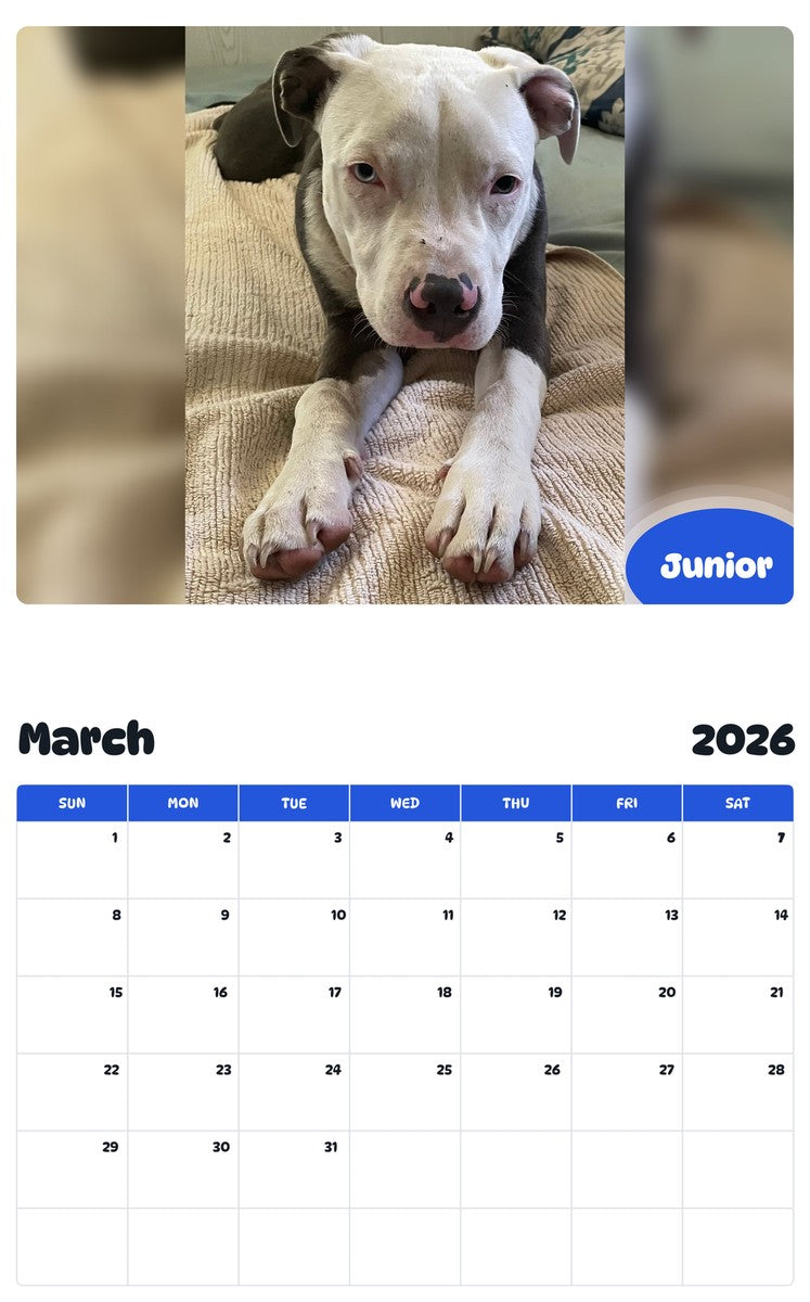 November 2025 - October 2026 Junior - Pawidols Pet Calendar