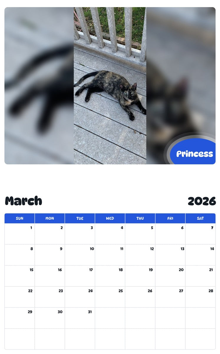 November 2025 - October 2026 Princess - Pawidols Pet Calendar