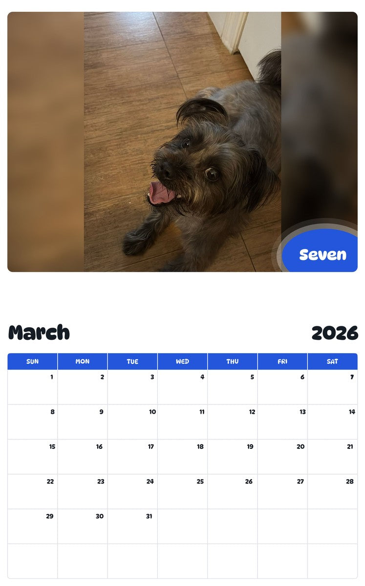 November 2025 - October 2026 Seven - Pawidols Pet Calendar