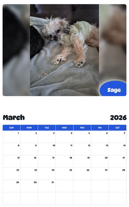 November 2025 - October 2026 Sage - Pawidols Pet Calendar