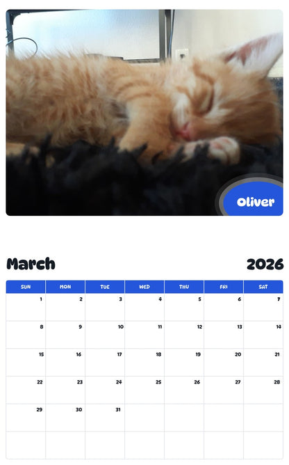 November 2025 - October 2026 Oliver - Pawidols Pet Calendar